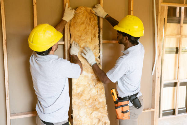 Professional Insulation Installation & Removal in Fulton, MS